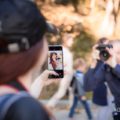 Осіння фотографія в рамках проекту «Фотопленер 1.0»